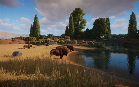 My bison habitat : r/PlanetZoo