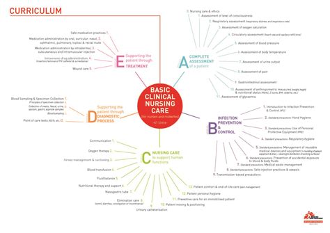 Basic Clinical Nursing Care - Msf