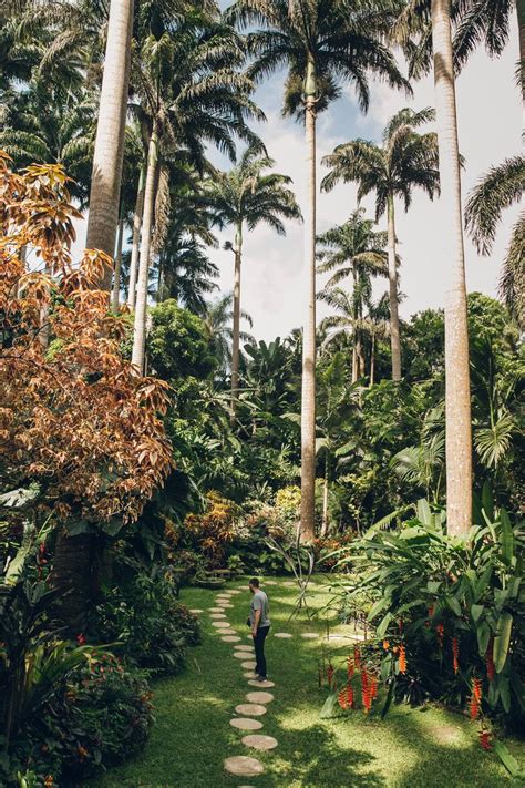 Botanical Gardens in Barbados — Haarkon | Barbados, Botanical gardens ...