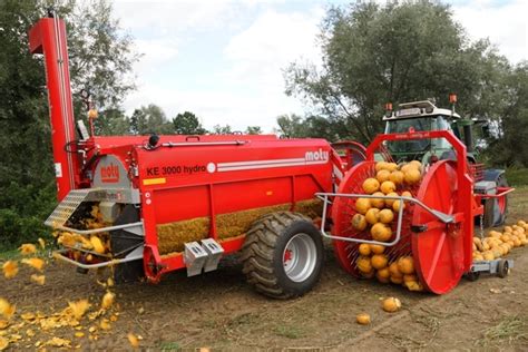 Hydraulic Pumpkin for Seed Harvesting - Green Technology, Interesting Engineering, Trending ...