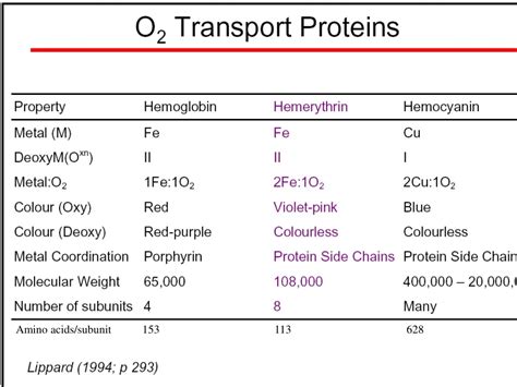 PPT - Amino acids/subunit 153 113 628 PowerPoint Presentation - ID:9208323