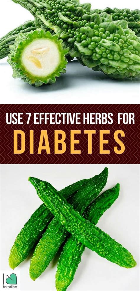 TOP 7 Natural Herbs For Diabetes (With images) | Home remedies for ...