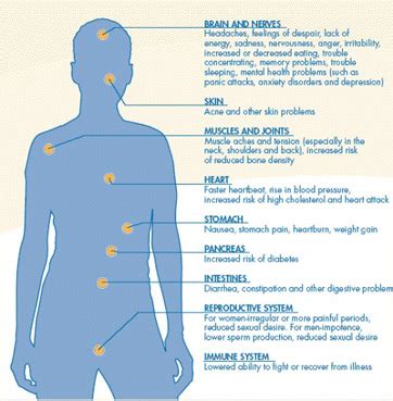 Exhaustion Stage of Stress | Overview, Symptoms & Management - Lesson | Study.com