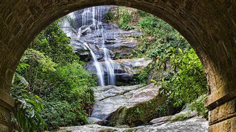 Tijuca Park: from the Forest Gate to the Visitors Center • Hiking Route