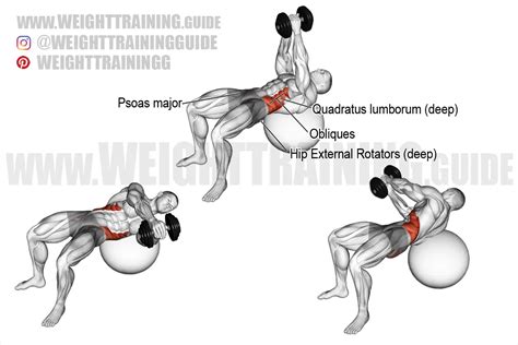 Dumbbell Russian twist on stability ball exercise instructions