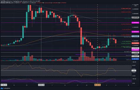 Xrp Chart 2021 : XRP Price Analysis: 18 January - AMBCrypto - wilhelmhomes