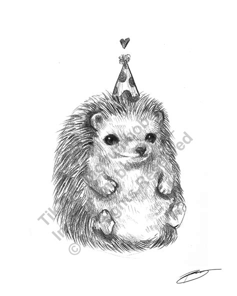 Fat Little Hedgehog Sketch Drawing Illustration 8.5 X 11 - Etsy