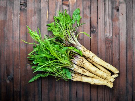 5 Amazing Health Benefits Of Horseradish, An All-rounder! | SLECK