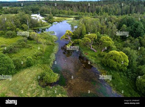 Summer landscape. Izvarka River (aerial photography). Russia Stock Photo - Alamy
