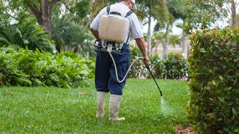 Organic Lawn Pest Control That Really Works - greeniq.co