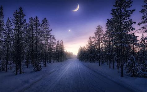 Winter Night Road, winter, forest, Moon, road, trees, night, star, HD ...