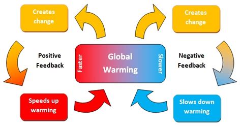 Positive Feedback Loop and Desertification - Optimize IAS