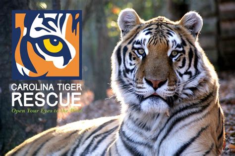 Carolina Tiger Rescue | Global Federation of Animal Sanctuaries