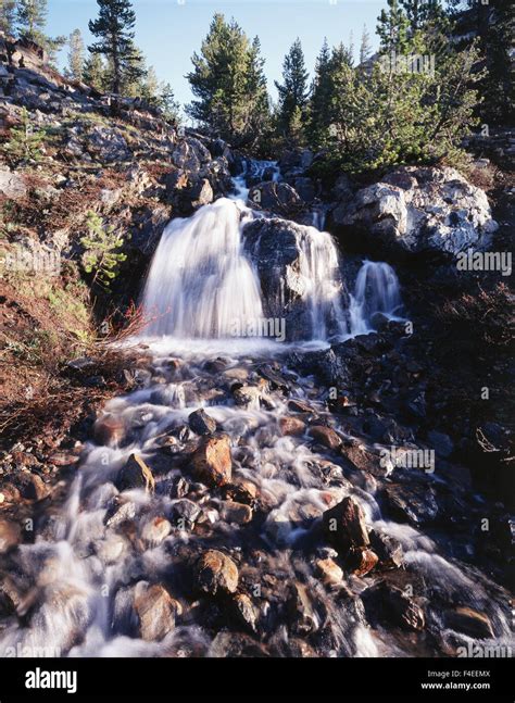 California, Sierra Nevada Mountains, Inyo National Forest, A small ...