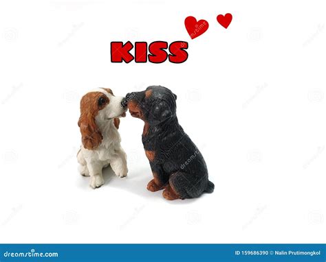 Two Dogs Kissing Each Other Isolated on White Background Stock ...