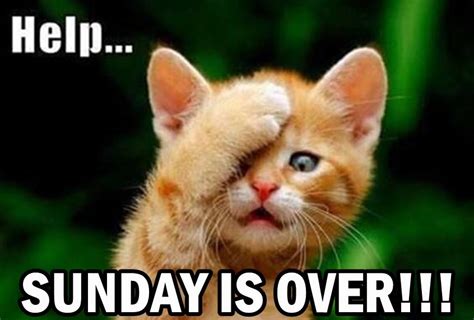 List 6 funny sunday memes best, don't miss - SESO OPEN