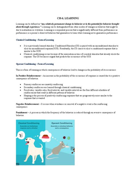 CH 6, Learning (Notes) | PDF