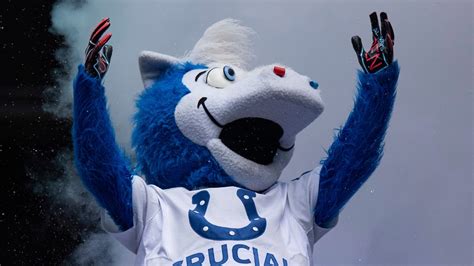 Indianapolis Colts' "Blue" wins Mascot of the Year award | wthr.com