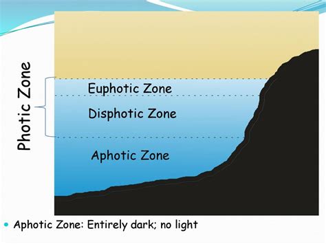 Oceanic Zones Notes. - ppt download