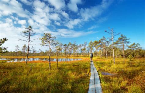 10 National Parks In Estonia And Reserves That You Must Visit