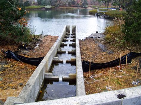 Cape Cod Water Resources Restoration Project: New Cedar Lake fish ladder is ready for the herring