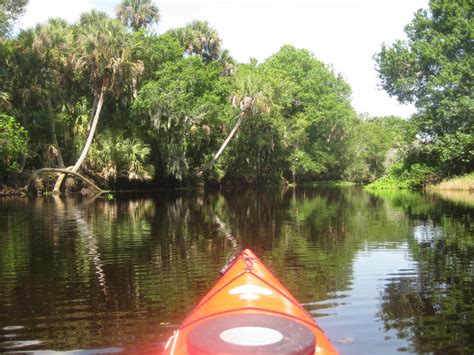 Dave's Yak Tales: Myakka River