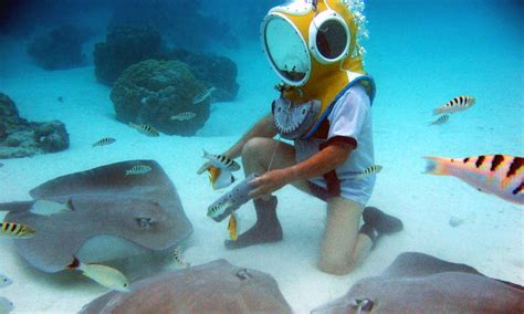 Aquablue Helmet Dive, Things to do in Moorea | Tahiti.com