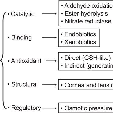 (PDF) Analysis and update of the human aldehyde dehydrogenase (ALDH) gene family