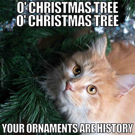 20+ Christmas Cat Memes To Spread Holiday Cheer - Digital Mom Blog