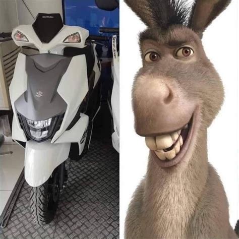 Found this on Instagram (Suzuki Avenis looks like Donkey from Shrek, from this angle) : r ...