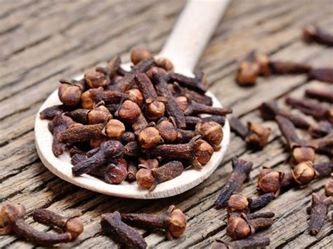 Cloves (Ding Xiang) in Chinese medicine