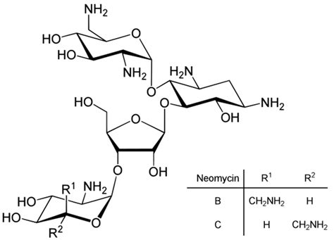 Chemical structure of neomycin. | Download Scientific Diagram