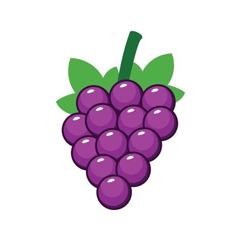 Fruit grapes vector cartoon flat design 5210265 Vector Art at Vecteezy