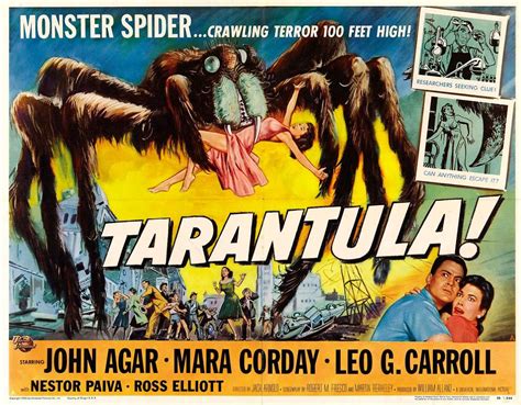 Tarantula « Celebrity Gossip and Movie News