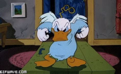 Pin on Donald Duck GIF.