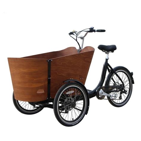 Free Shipping New Style 3 Wheel Electric cargo Family Bike For Adult and kid-in Bicycle from ...