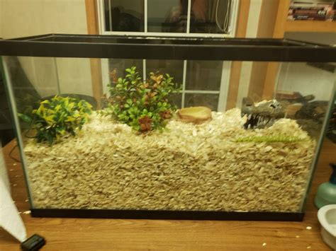 This look okay for a hognose? Need more decorations? Everything I read said tons of substrate is ...