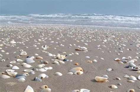 11 beautiful texas beaches to visit in the last days of summer – Artofit