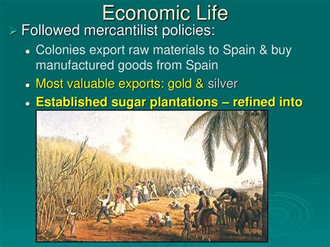 Spanish Colonization. - ppt download