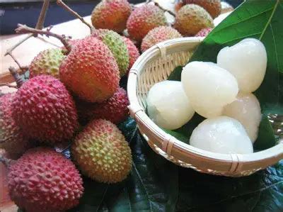 12 LITCHI CHINENSIS LEECHEE SEEDS NICE RED FRUIT LIZHI LYCHEE SEEDS DIY HOME GARDEN BACKYARD NEW ...