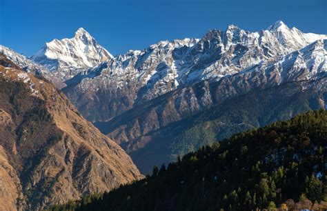 Nanda Devi Base Camp | A well-rounded exploratory trek - Himalaya ...