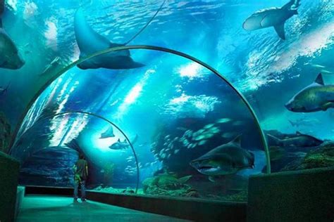 SEA LIFE Bangkok Ocean World Admission 2023