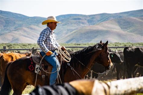 The Cowboy Way Of Life & How Can You Be A Cowboy Today?