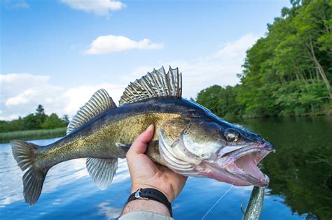 5 Safety Tips for Fishing in Minnesota - SiebenCarey - SiebenCarey