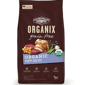 5 Best Grain Free Puppy Food Brands: Our Top Rated & Most Affordable Picks