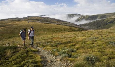 Mount Hotham, Victoria - Australian Geographic