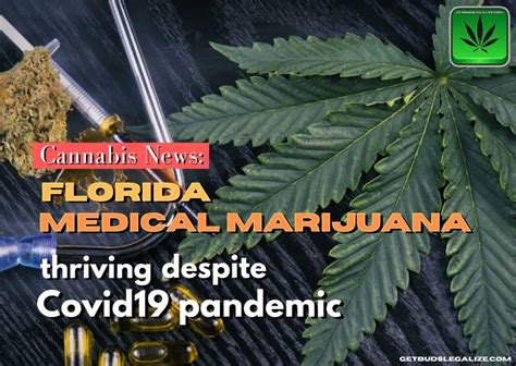 Medical Marijuana in Florida thriving - GetBudsLegalize.com