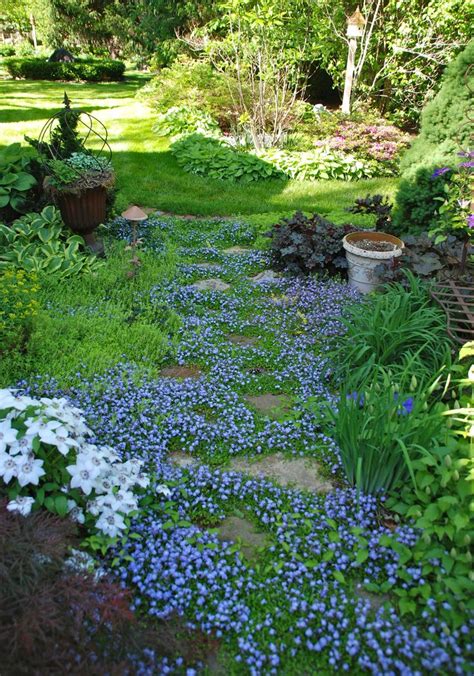 1000+ images about Rock Gardens & Ground Covers on Pinterest