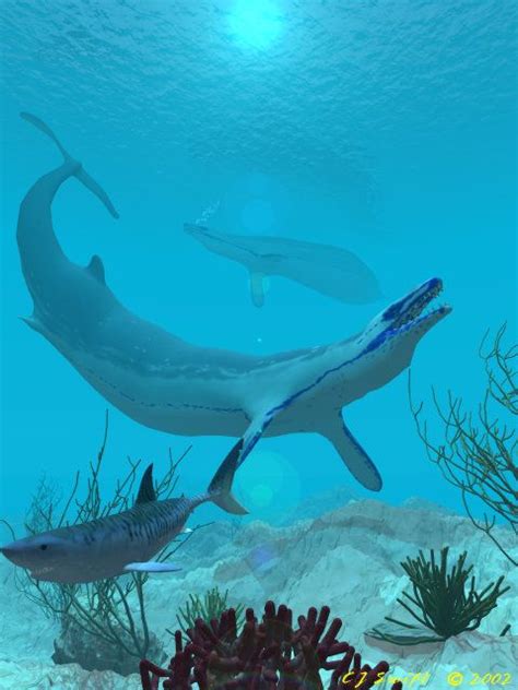 Basilosaurus cetoides | Prehistoric animals, Prehistoric wildlife, Ancient animals