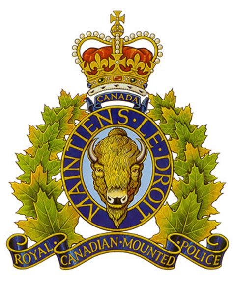 Former Valemount mountie faces fraud charge - The Rocky Mountain Goat